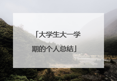 大学生大一学期的个人总结