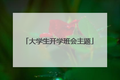 大学生开学班会主题
