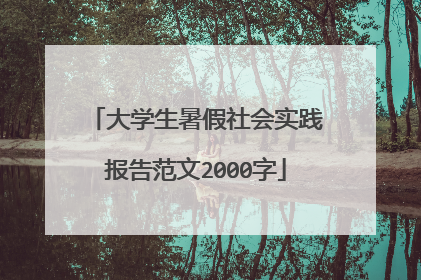 大学生暑假社会实践报告范文2000字