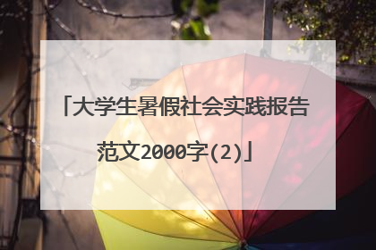 大学生暑假社会实践报告范文2000字(2)