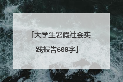 大学生暑假社会实践报告600字