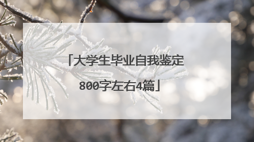 大学生毕业自我鉴定800字左右4篇