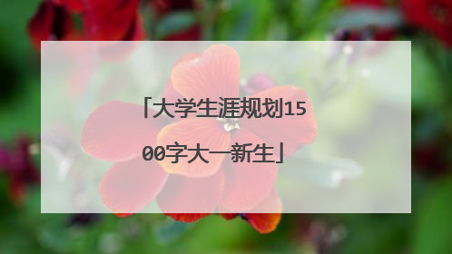 大学生涯规划1500字大一新生