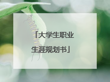 大学生职业生涯规划书