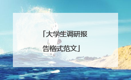 大学生调研报告格式范文