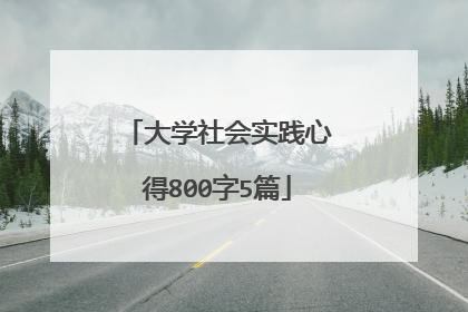 大学社会实践心得800字5篇