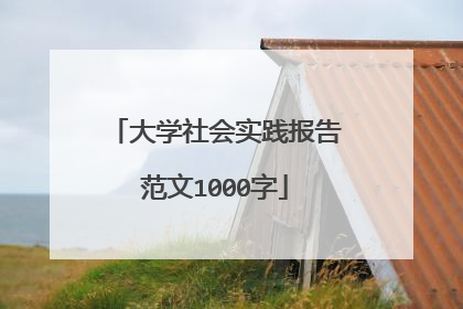 大学社会实践报告范文1000字