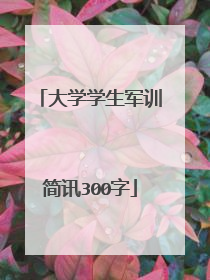 大学学生军训简讯300字