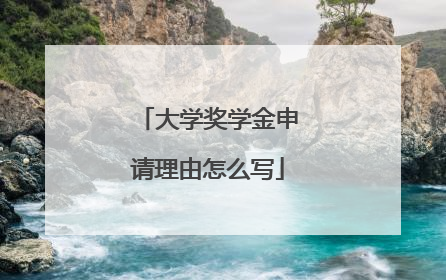 大学奖学金申请理由怎么写