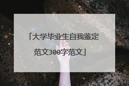 大学毕业生自我鉴定范文300字范文