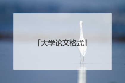 大学论文格式