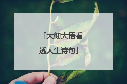 大彻大悟看透人生诗句