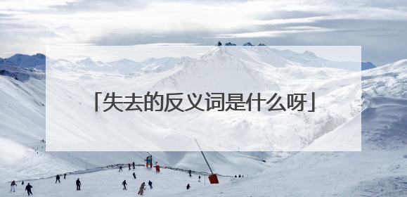 失去的反义词是什么呀