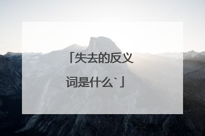失去的反义词是什么`