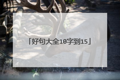 好句大全10字到15