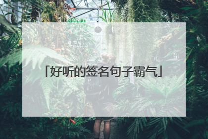 好听的签名句子霸气