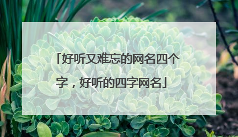 好听又难忘的网名四个字，好听的四字网名