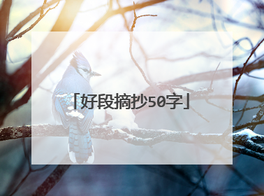好段摘抄50字