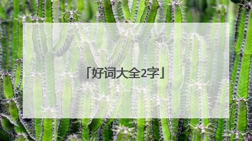 好词大全2字