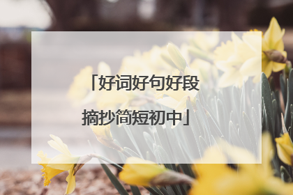 好词好句好段摘抄简短初中