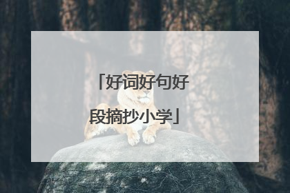 好词好句好段摘抄小学