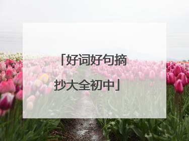 好词好句摘抄大全初中