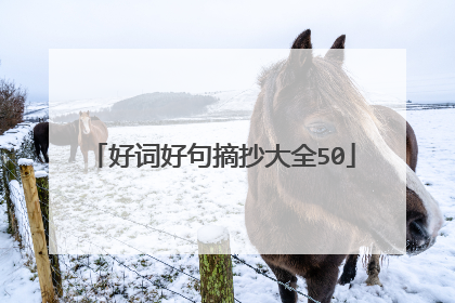 好词好句摘抄大全50