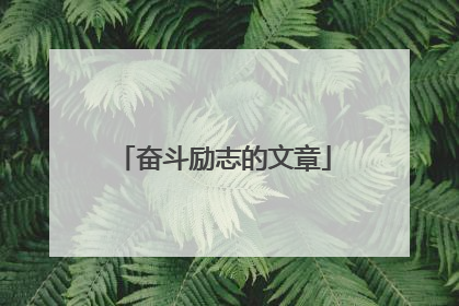 奋斗励志的文章