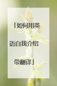 如何用英语自我介绍带翻译