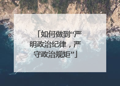 如何做到“严明政治纪律，严守政治规矩”