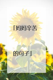 妈妈辛苦的句子