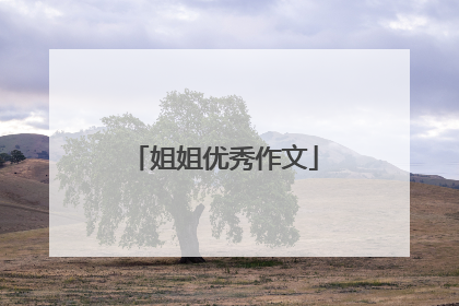 姐姐优秀作文