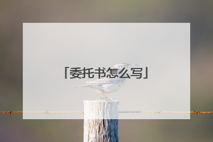 委托书怎么写