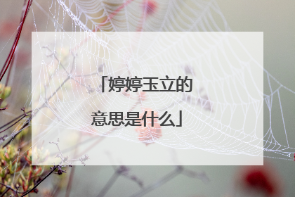婷婷玉立的意思是什么
