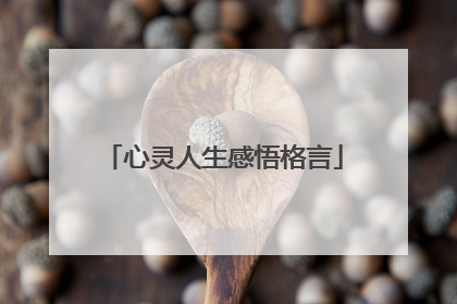 心灵人生感悟格言