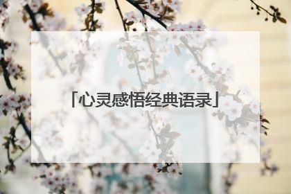心灵感悟经典语录