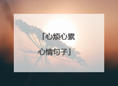 心烦心累心情句子