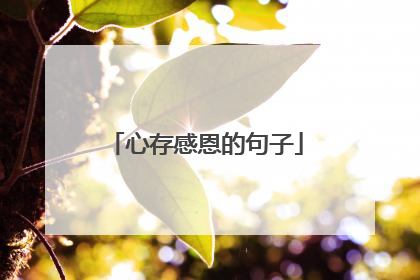 心存感恩的句子