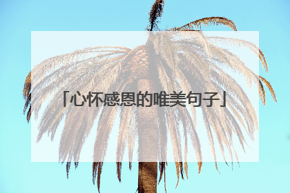 心怀感恩的唯美句子