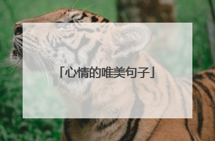 心情的唯美句子