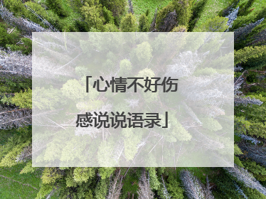 心情不好伤感说说语录