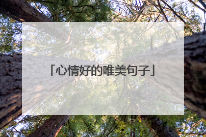 心情好的唯美句子