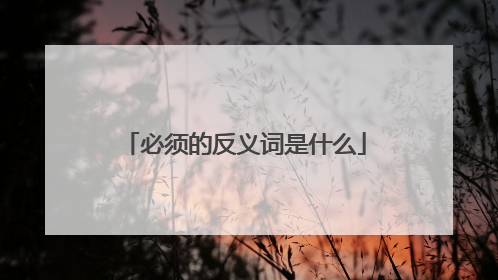 必须的反义词是什么