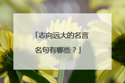 志向远大的名言名句有哪些？
