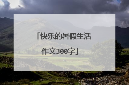 快乐的暑假生活作文300字
