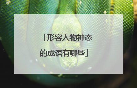 形容人物神态的成语有哪些