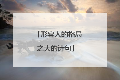 形容人的格局之大的诗句