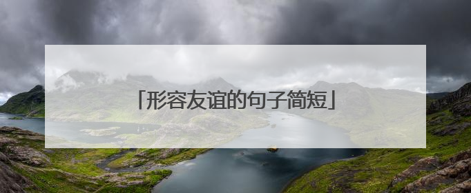 形容友谊的句子简短