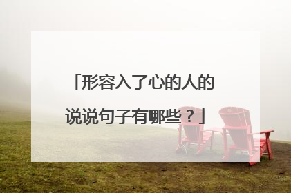 形容入了心的人的说说句子有哪些？