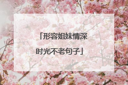 形容姐妹情深时光不老句子